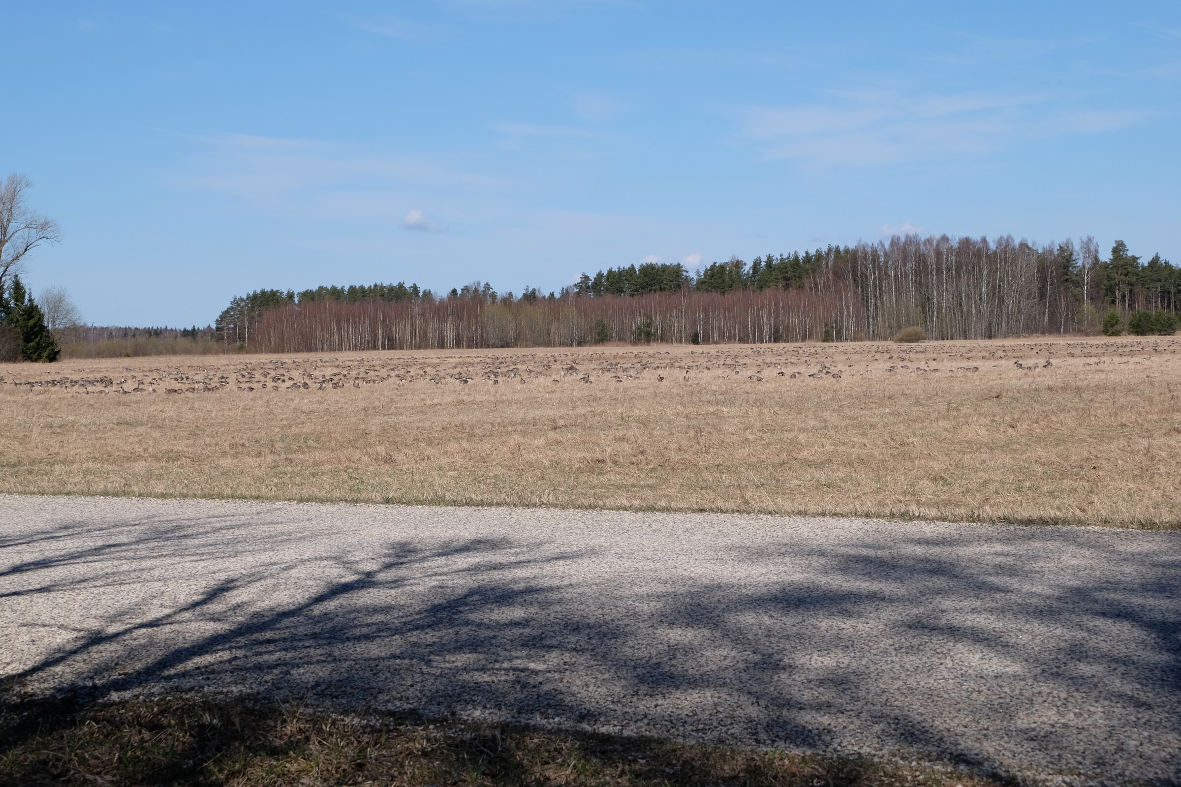 Riik ühtlustab kinnisvara väärtuse hindamise reegleid - Seadusandlus - Kinnisvarauudised - City24.ee kinnisvaraportaal