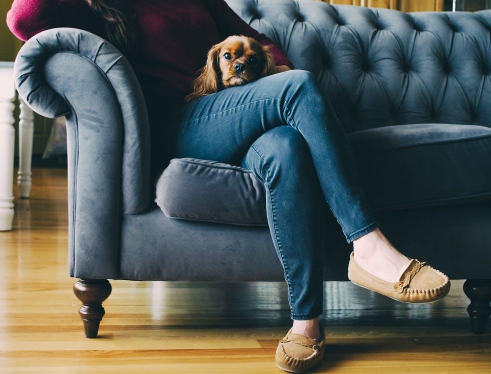 Astoņi padomi, kā izvēlēties dzīvokli, lai arī tavs suns būtu laimīgs - Nekustamo īpašumu ziņas - City24.lv nekustamo īpašumu sludinājumu portāls