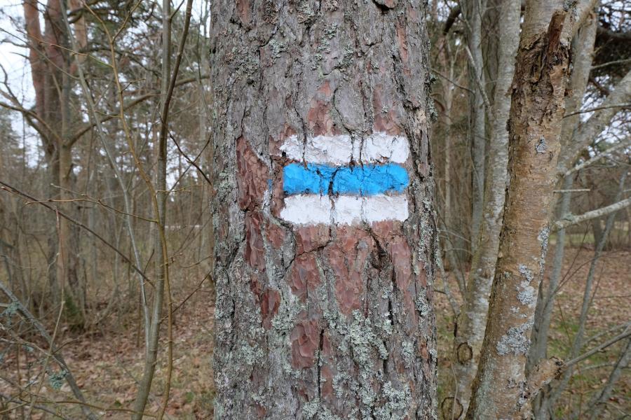 Põhja-Tallinn avas uuendatud Stroomi rannapargi - Linnauuendus - Kinnisvarauudised - City24.ee kinnisvaraportaal