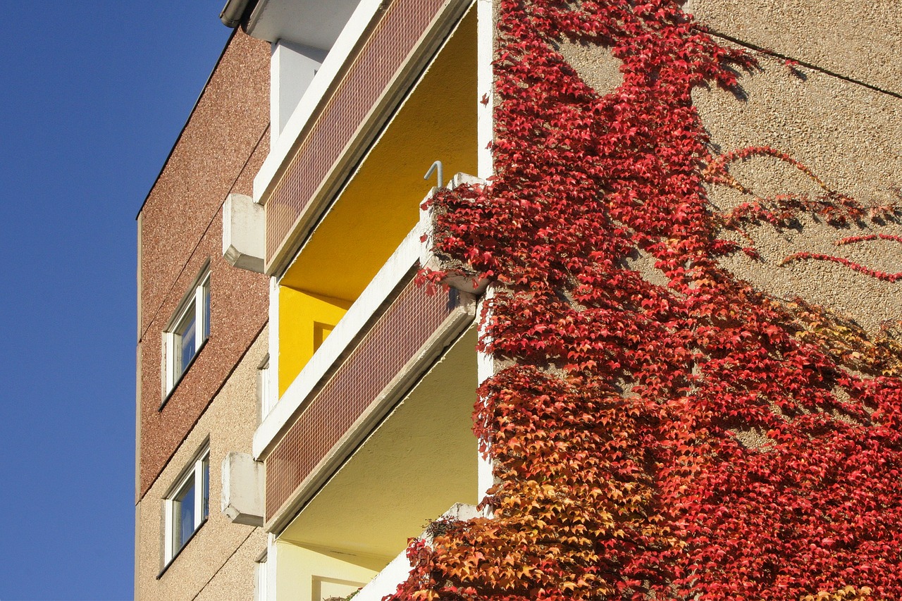 Arco Real Estate: Gada laikā sērijveida dzīvokļu cenas Rīgā augušas par 4% - Nekustamo īpašumu ziņas - City24.lv nekustamo īpašumu sludinājumu portāls